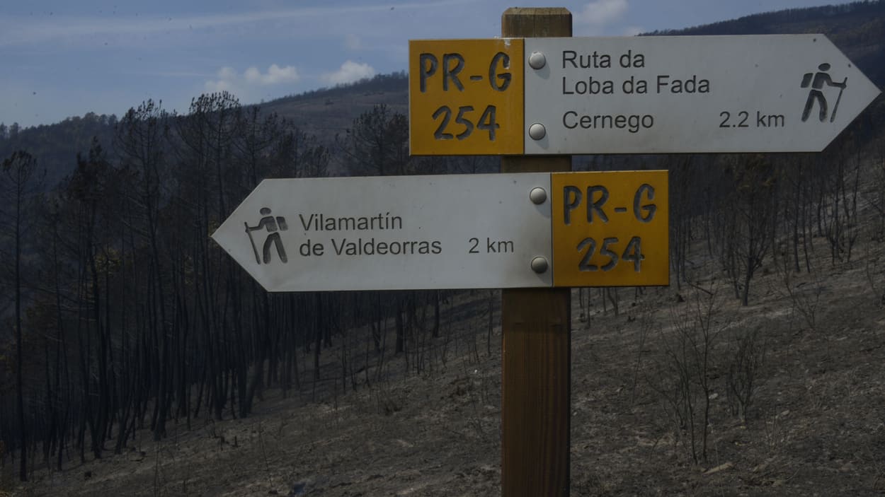 Vista tras el incendio en los montes de Cernego en Villamartín de Valdeorras, Ourense. EP.