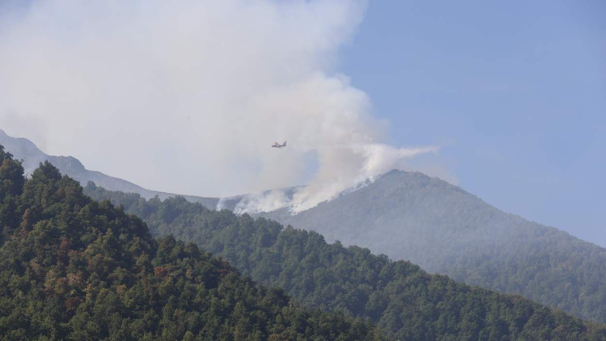 Galicia y Castilla y León suman más del 85% de las hectáreas quemadas durante la oleada de incendios. EP
