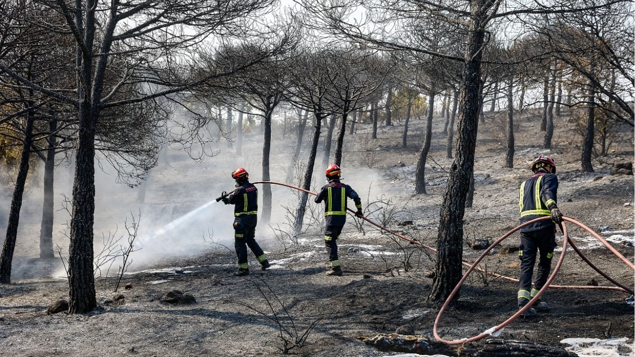 Varios bomberos de la Comunidad de Madrid . EP.