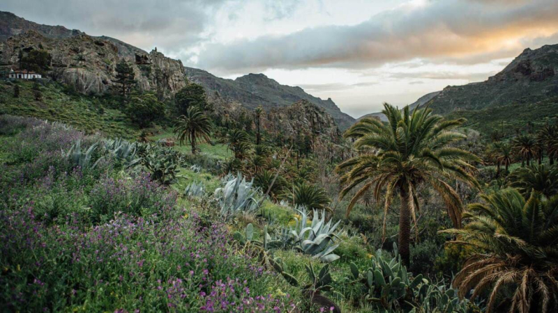 La Reserva Natural Integral de Benchijigua (Foto: La Gomera)