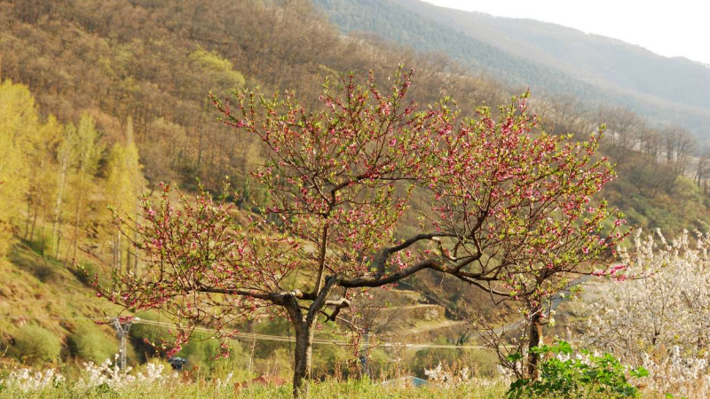 Tornavacas, en el Valle del Jerte