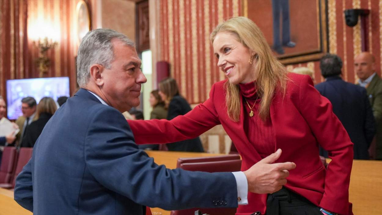 José Luis Sanz (PP) y Cristina Peláez (Vox) en un pleno del Ayuntamiento de Sevilla. EP