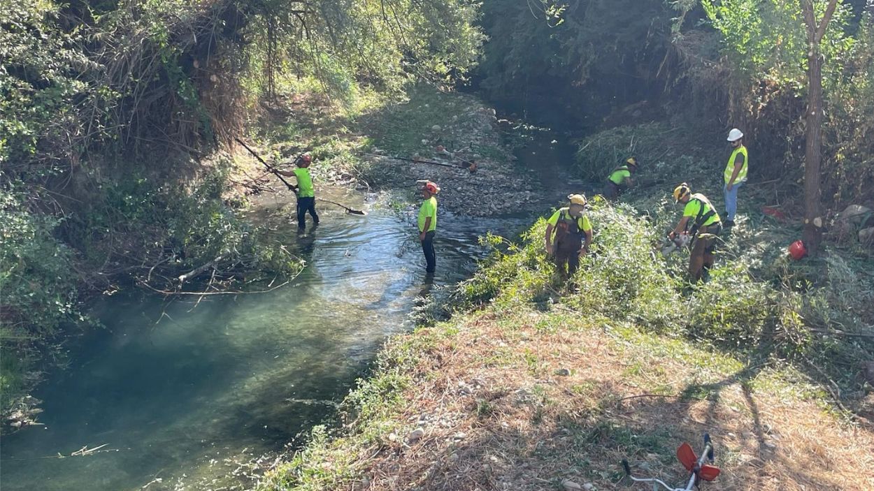 El Ayuntamiento de Jaén acomete labores de limpieza sobre los cauces de la zona de Los Puentes
