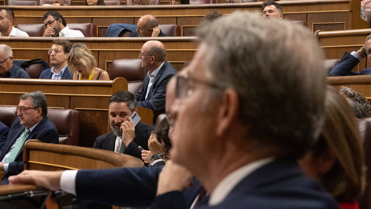 Vox marca su mejor resultado en las encuestas gracias a un gran robo de votos al PP. EP.
