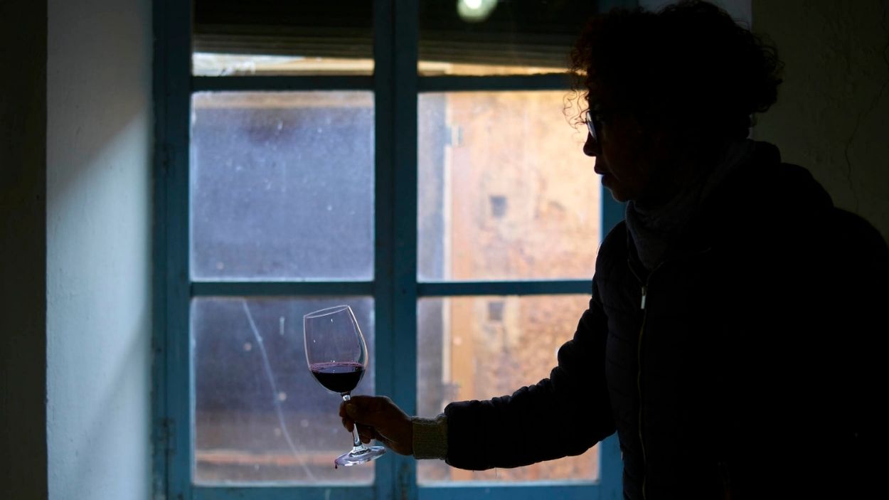 Cata de vino.