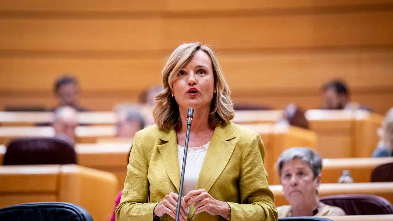 Alegría retrata al PP recordando lo sucedido con la televisión de Castilla y León. EP