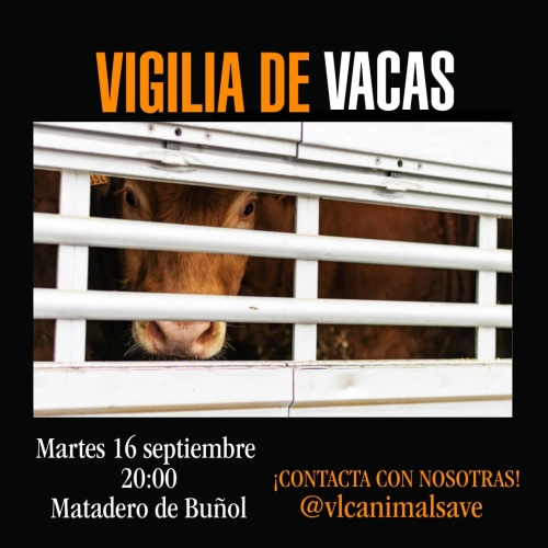 Cartel de la vigilia de vacas Cartel de la vigilia de vacas