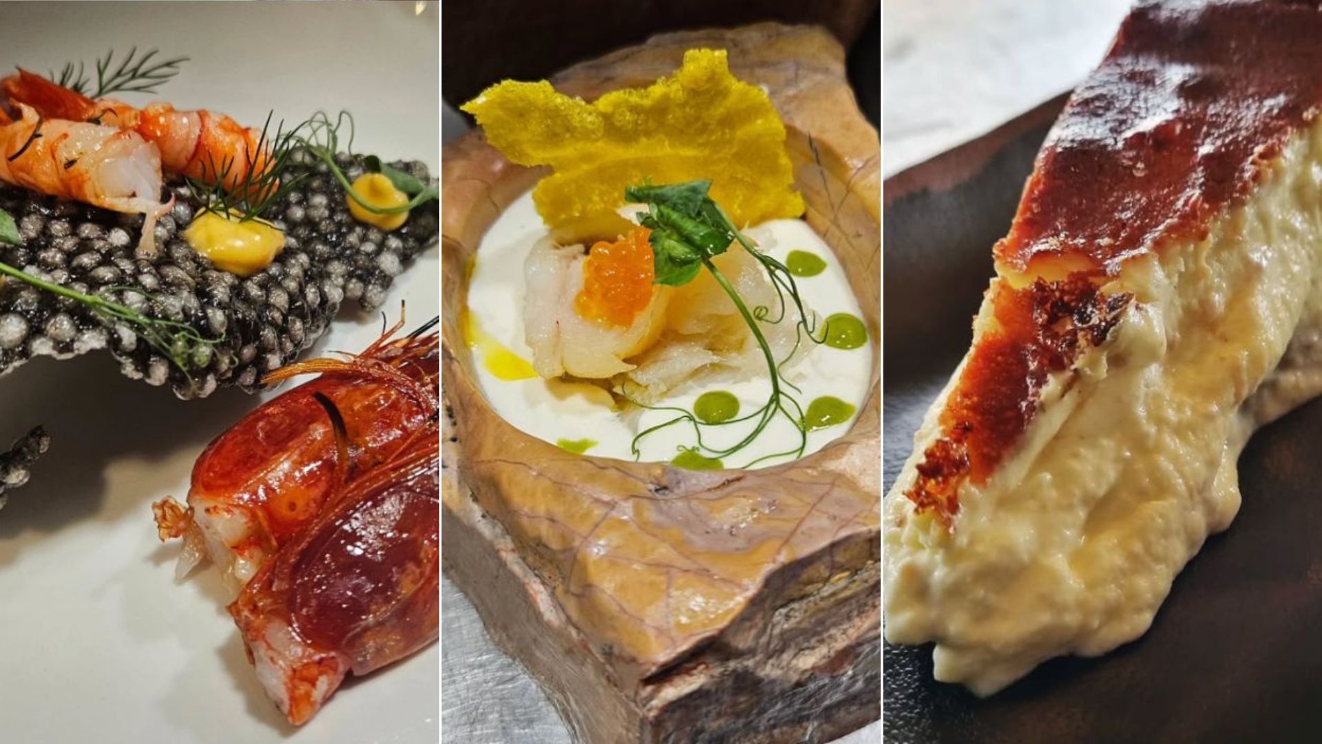 recogida azafran castilla mancha pueblo (1) recogida azafran castilla mancha pueblo (1)