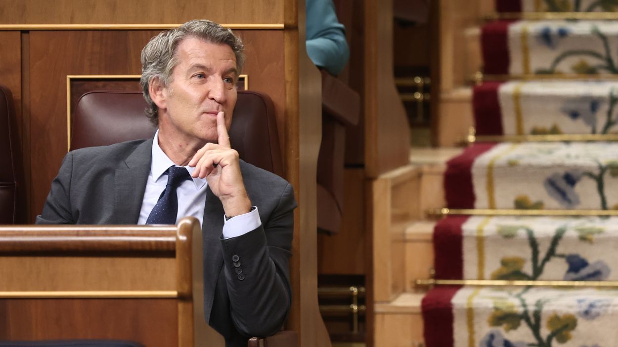 El presidente del PP, Alberto Núñez Feijóo, en una sesión de control al Gobierno en el Congreso. EP.