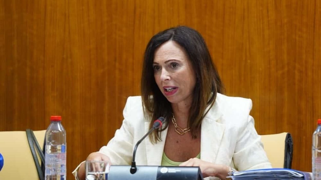 Rocío Díaz, consejera de Fomento, Articulación del Territorio y Vivienda de la Junta de Andalucía. EP