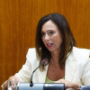 Rocío Díaz, consejera de Fomento, Articulación del Territorio y Vivienda de la Junta de Andalucía. EP