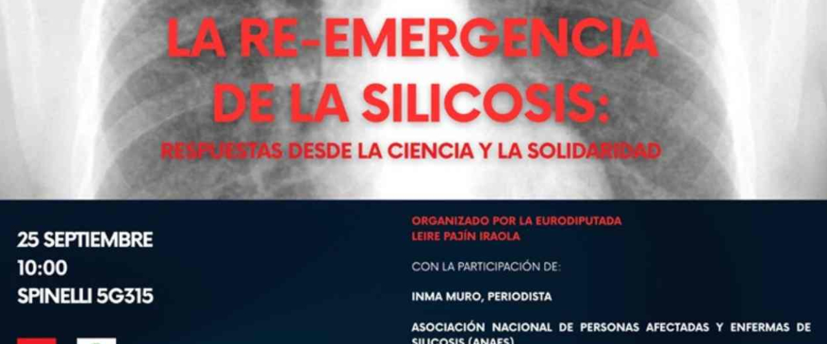 Leire Pajín lleva al Parlamento Europeo la emergencia de la silicosis en España
