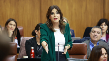 Ángeles Férriz, candidata del PSOE al Parlamento de Andalucía por Jaén