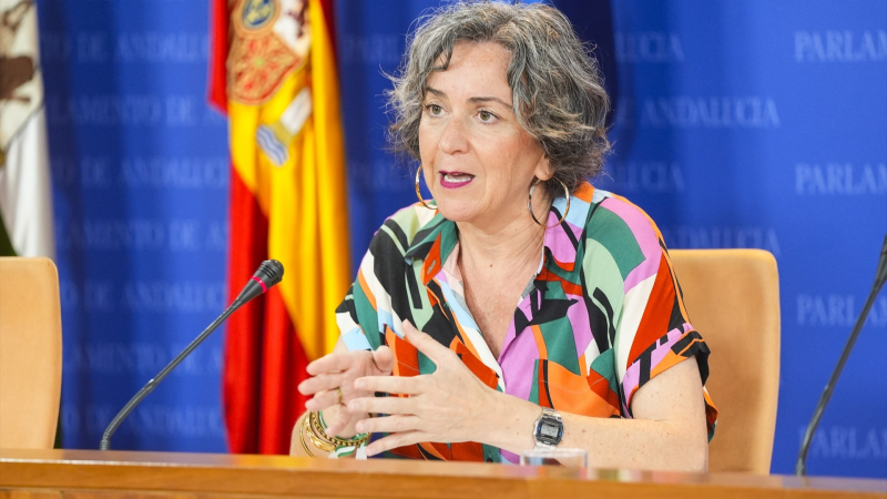 EuropaPress 6790447 portavoz adjunta grupo mixto adelanteandalucia begona iza ronda ruedas