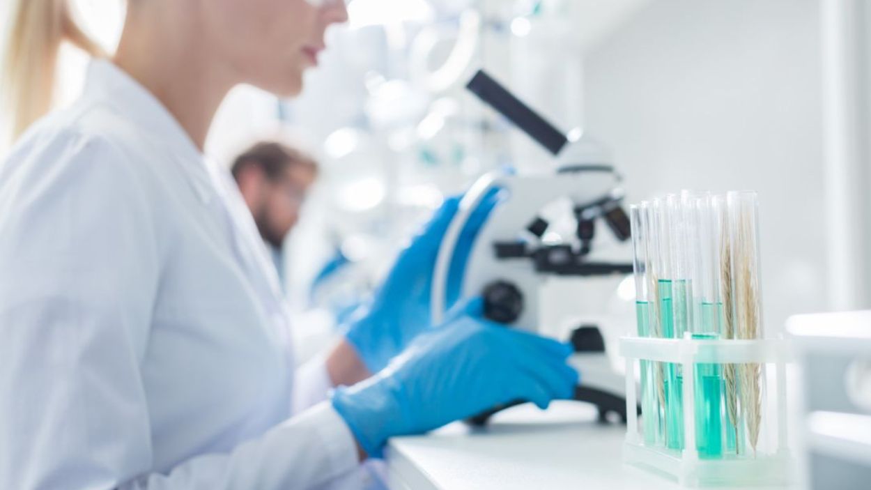 Trabajos en un laboratorio