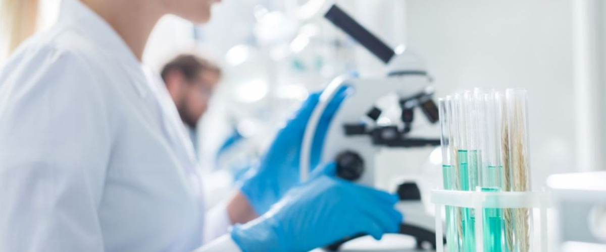 El estudio de IVI RMA Research gana el premio al Mejor Trabajo en el Congreso ASRM 2025 junto a Juno Genetics El estudio de IVI RMA Research gana el premio al Mejor Trabajo en el Congreso ASRM 2025 junto a Juno Genetics