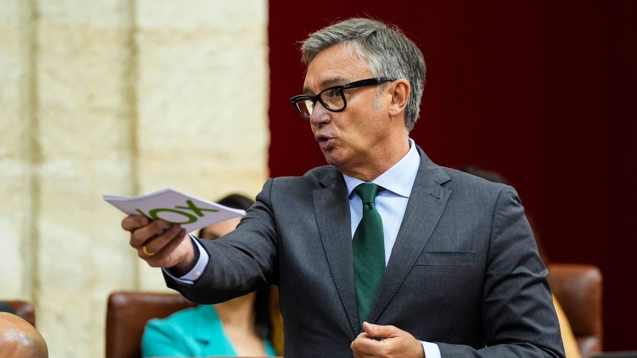 Portavoz de Vox en el Parlamento, Manuel Gavira / Parlamento de Andalucía
