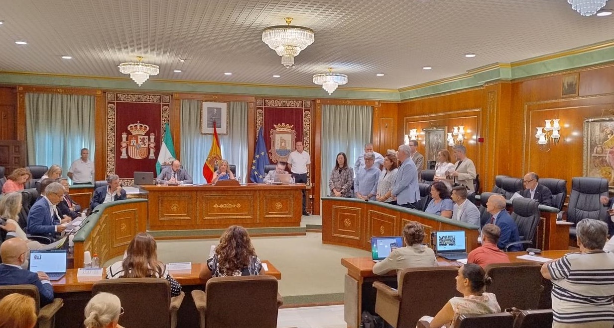Pleno del Ayuntamiento de Marbella. 