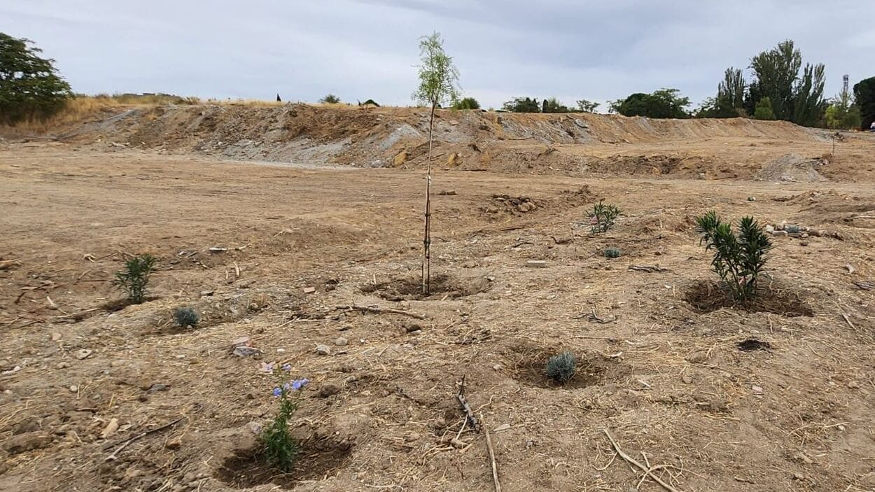 Replantación espontánea de las familias en la parcela del cantón. Plataforma No al Cantón de Montecarmelo.