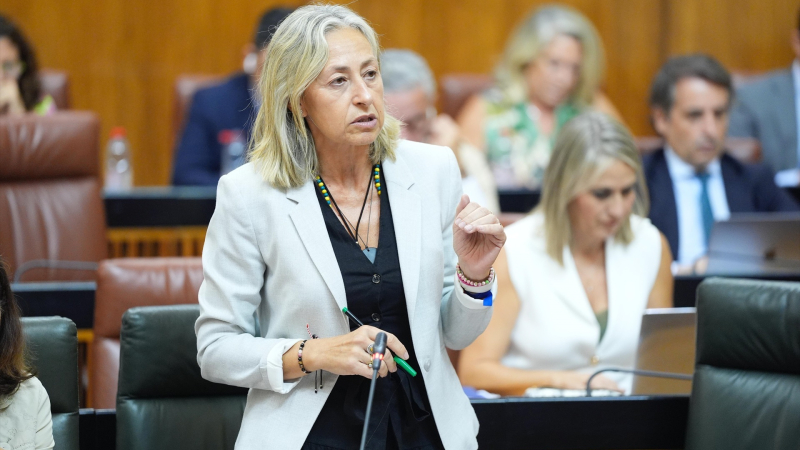  consejera salud rocio hernandez pleno 25 septiembre 2025