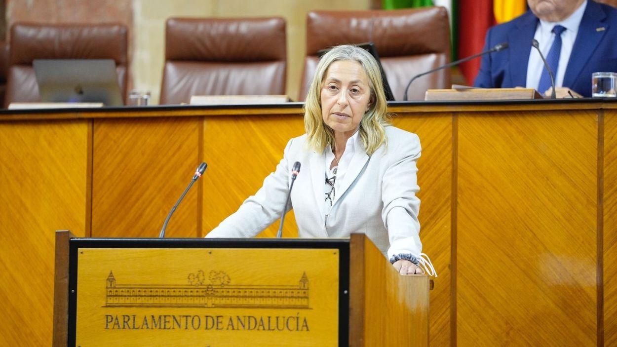 La consejera de Salud de la Junta de Andalucía, Rocío Hernández / EP