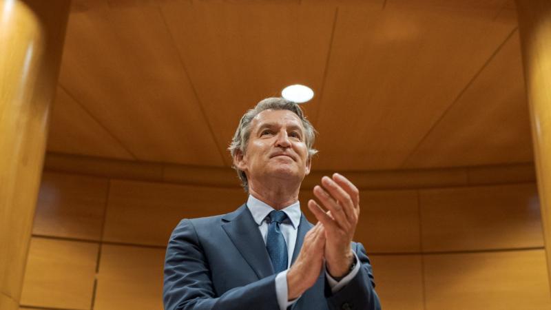 Alberto Núñez Feijóo durante unas jornadas organizadas por el Partido Popular en el Senado. EP.