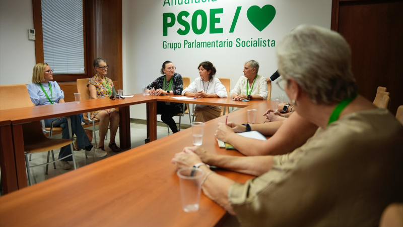 EuropaPress 6995649 reunion representantes grupo parlamentario socialista asociacion amama