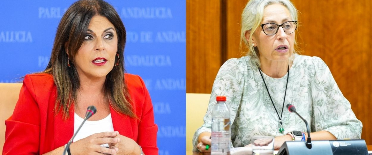 Férriz (PSOE) exige responsabilidades a la consejera de Salud tras la crisis del cribado de cáncer: "Hay 500.000 mujeres con un nudo en el estómago"