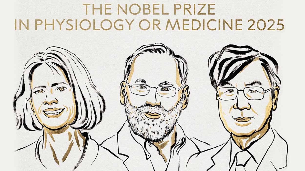 El Nobel de Medicina 2025 premia a Mary Brankov, Fred Ramstell y Shimon Sakaguchi por sus investigaciones sobre tolerancia inmune periférica. Nobel