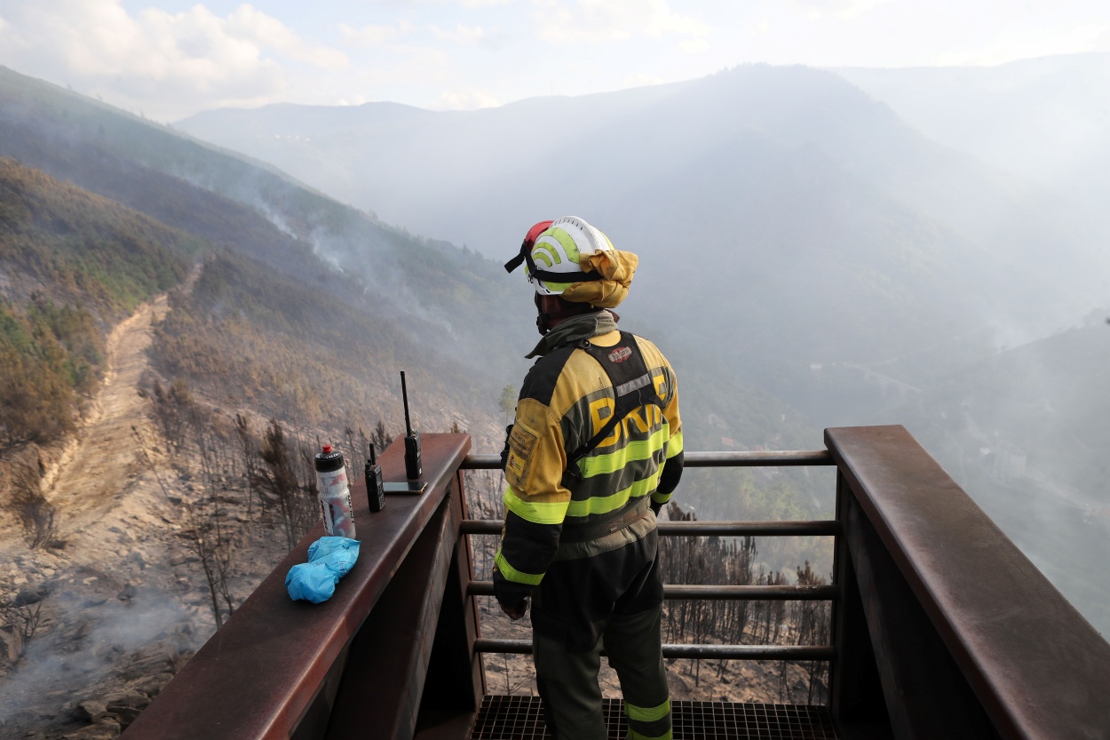 Los incendios forestales de estos meses de agosto y septiembre quemaron decenas de miles de superficie (Foto: Europa Press).