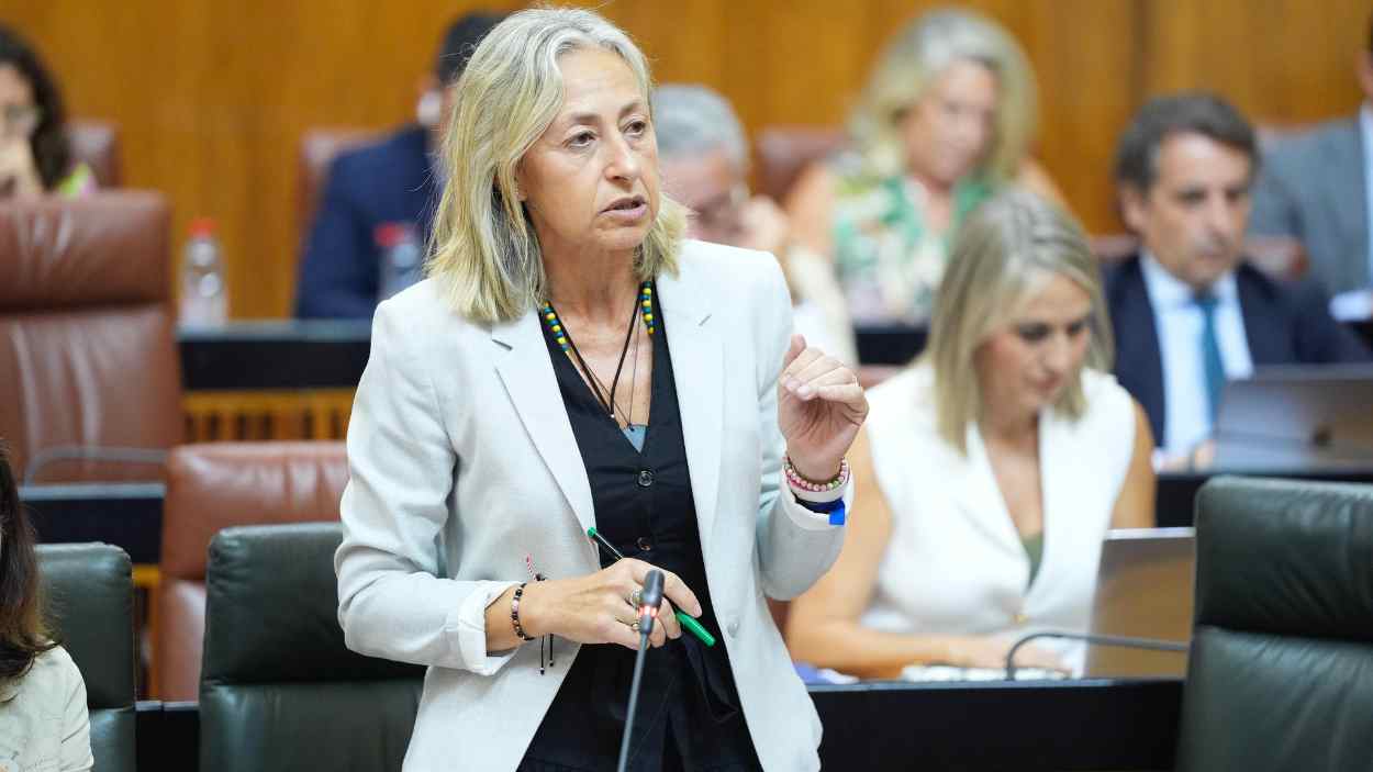 Rocío Hernández, consejera de Salud de Andalucía. EP