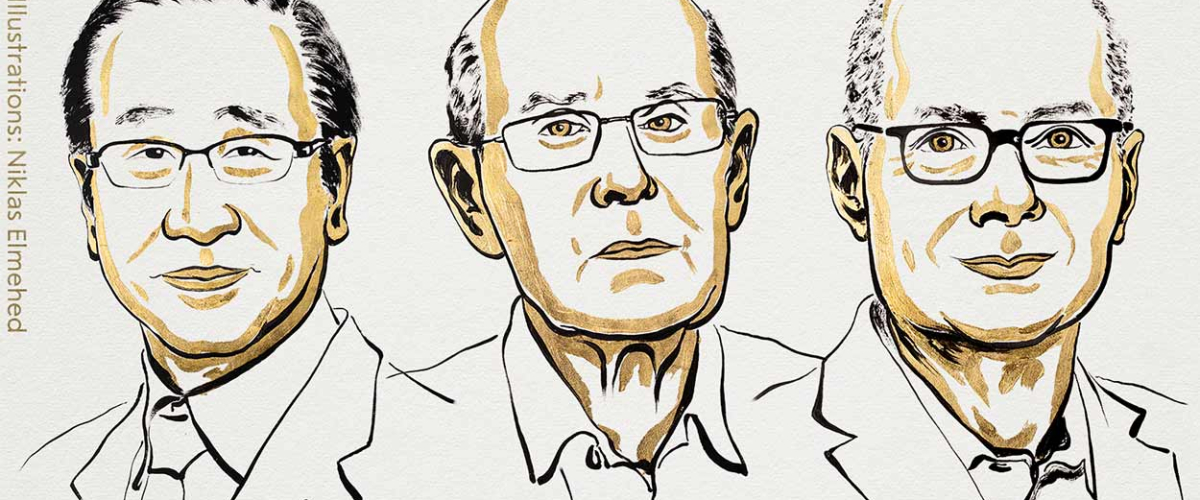 Susumu Kitagawa, Richard Robson y Omar Yaghi, Nobel de Química 2025 por un nuevo tipo de arquitectura molecular