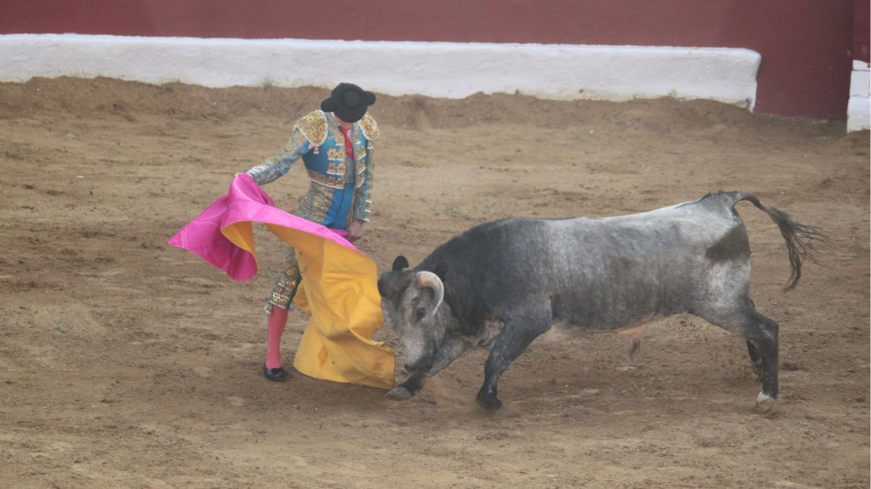 Festejo taurino