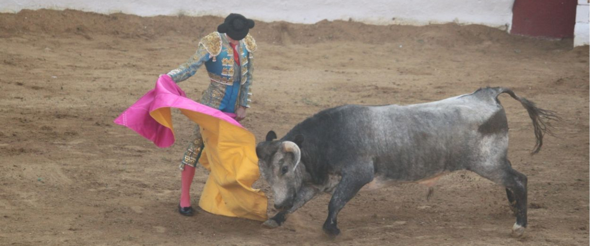 Denuncian el silencio que guarda la Diputación de Salamanca ante dos casos de acoso en su escuela de tauromaquia