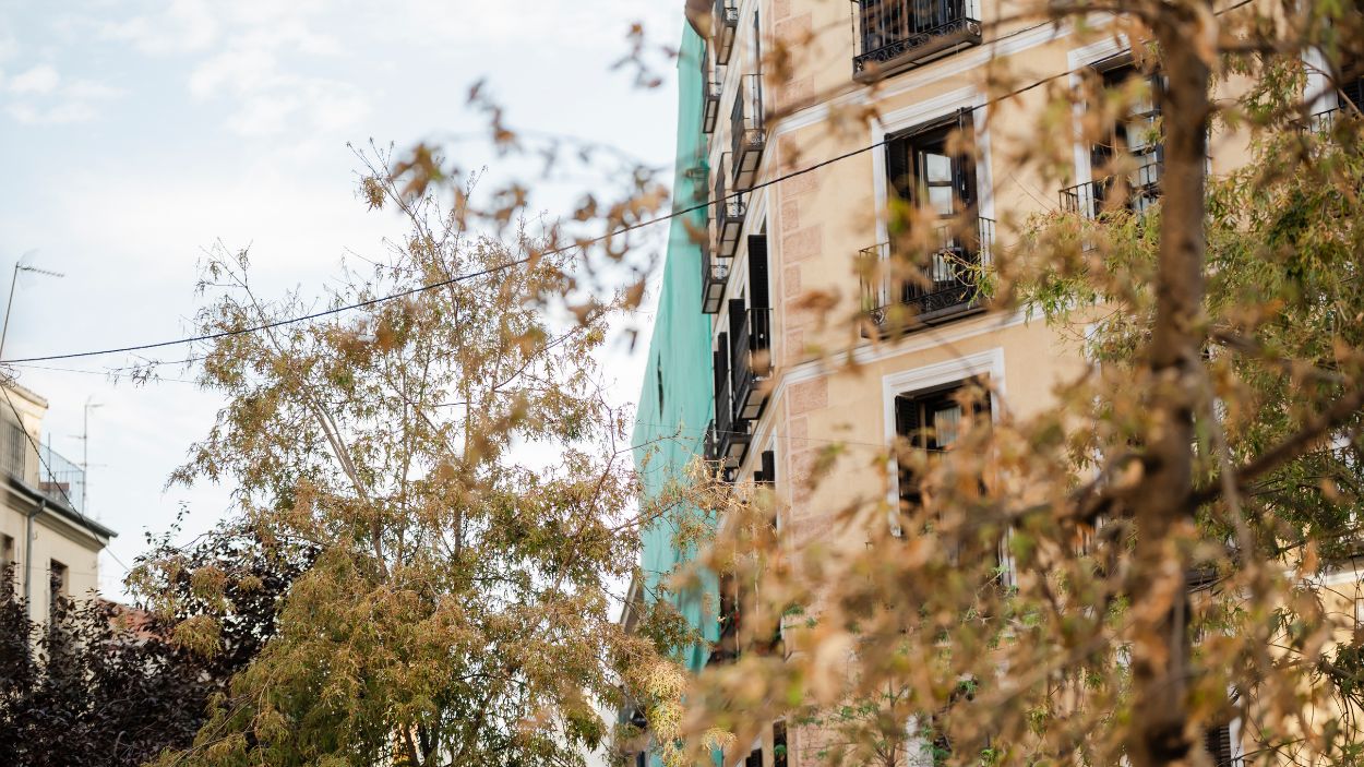Estado del edificio derrumbado en la calle Hileras. EP. Estado del edificio derrumbado en la calle Hileras. EP.