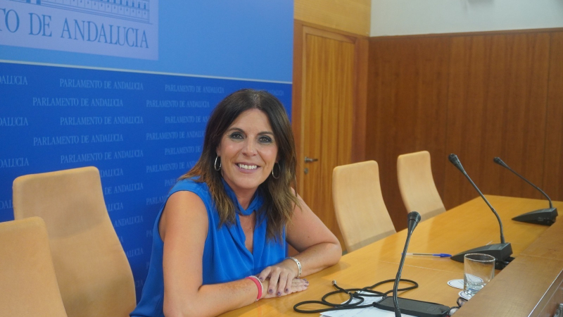 angeles ferriz parlamento angeles ferriz parlamento