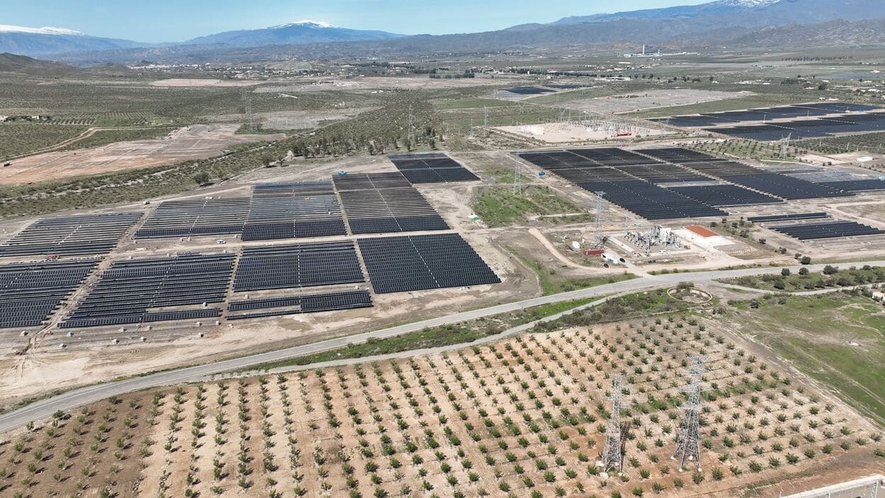 Planta fotovoltaica de Tabernas. IBERDROLA
