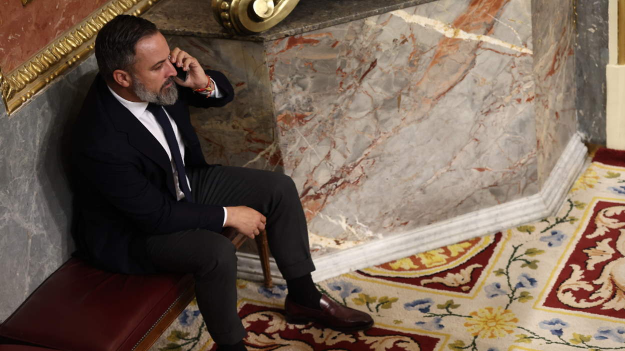 Vox y Disenso, las empresas de Abascal que superan los 3 millones de euros en pérdidas. EP.