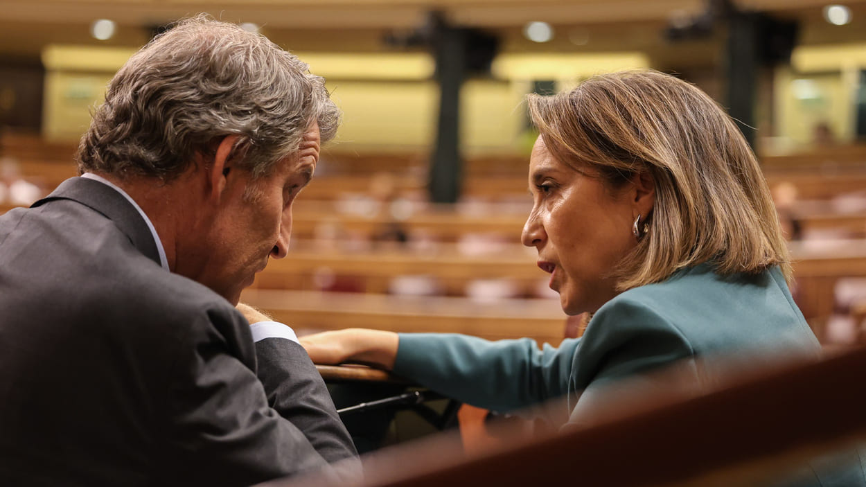 El presidente del PP, Alberto Núñez Feijóo, y la diputada del PP Cuca Gamarra durante una sesión plenaria en el Congreso de los Diputados. EP.
