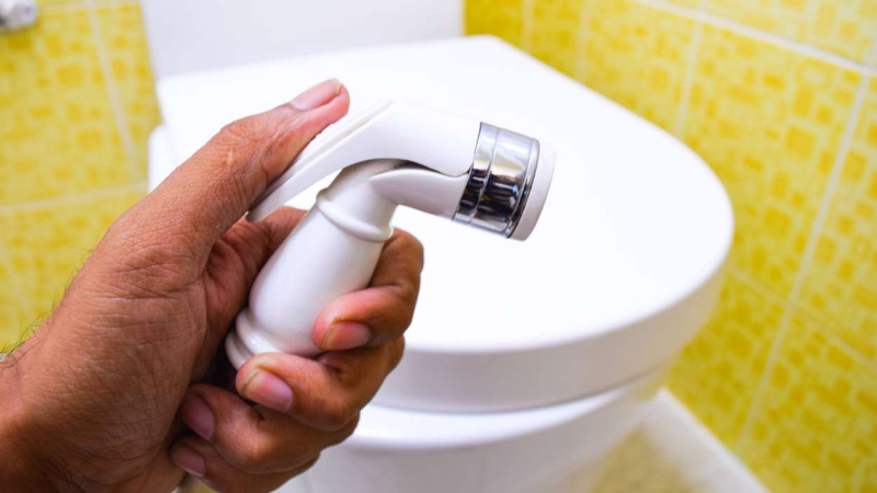 La alternativa a usar el bidet La alternativa a usar el bidet