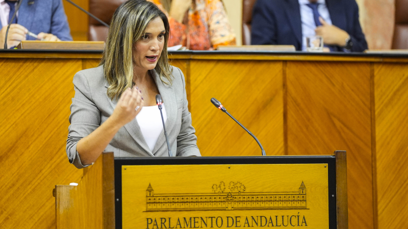 maria marquez psoe andalucia maria marquez psoe andalucia