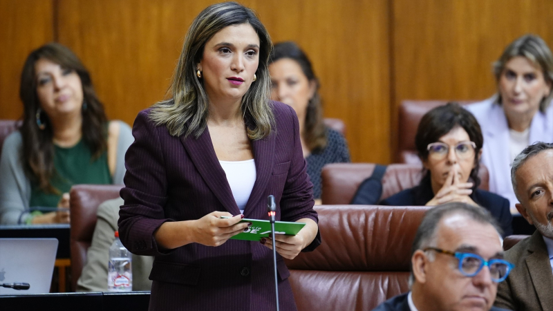EuropaPress 7049633 portavoz parlamentaria psoe a maria marquez interviene sesion control pleno EuropaPress 7049633 portavoz parlamentaria psoe a maria marquez interviene sesion control pleno