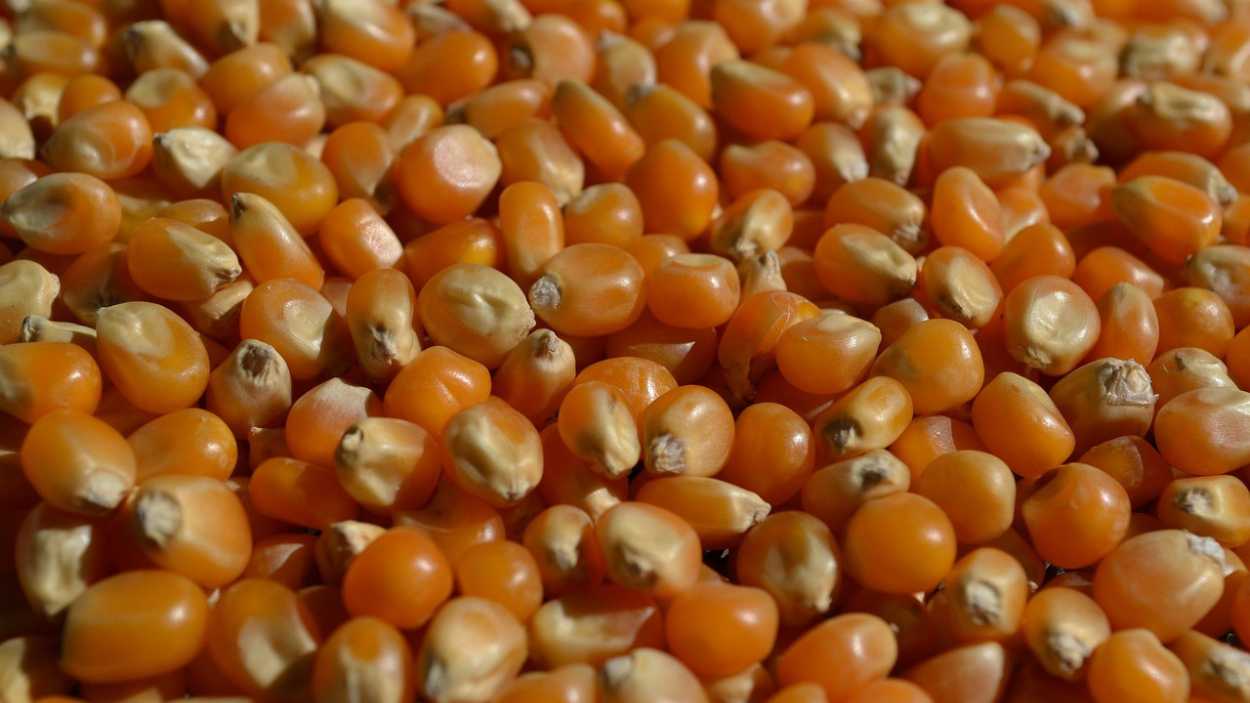 La AESAN lanza una alerta alimentaria
