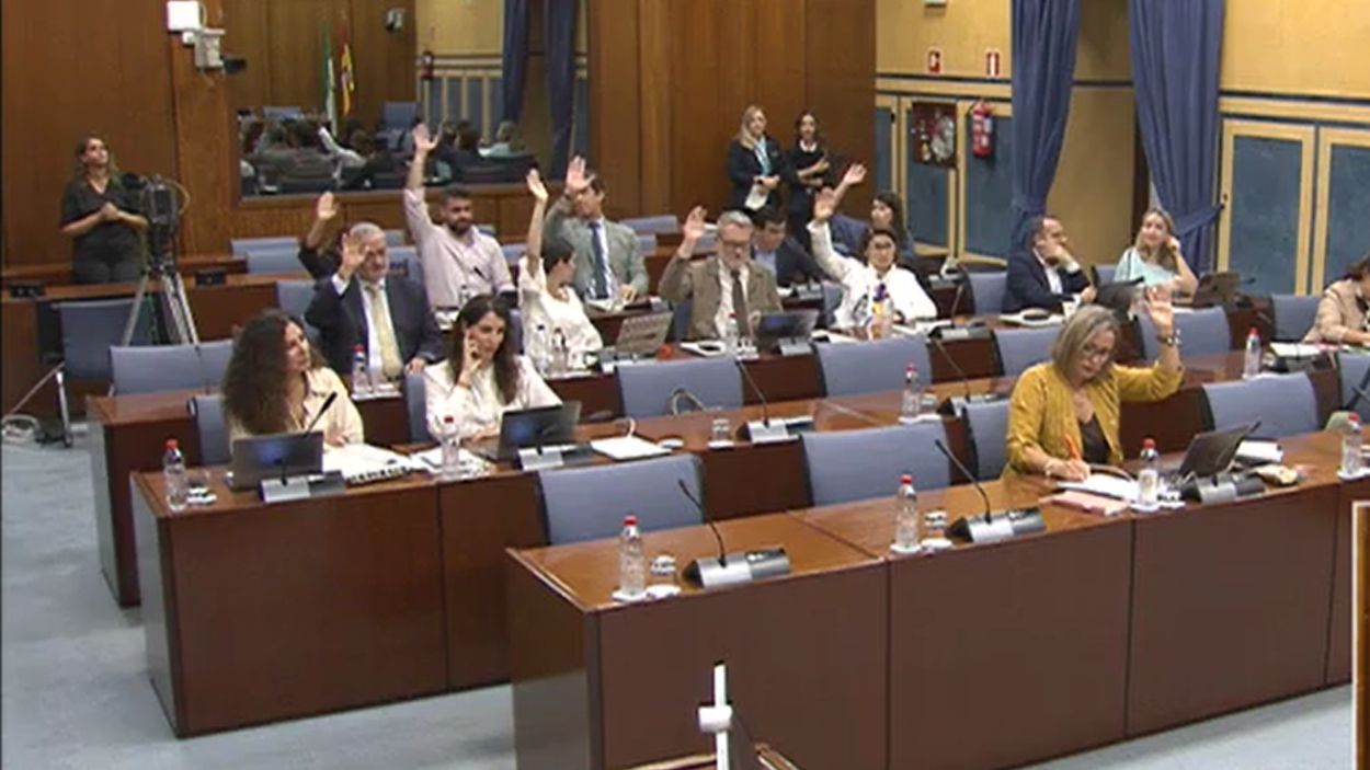 Los miembros del Partido Popular en la Comisión sobre Derechos y Atención a las Personas con Discapacidad votan en contra de la PNL Los miembros del Partido Popular en la Comisión sobre Derechos y Atención a las Personas con Discapacidad votan en contra de la PNL