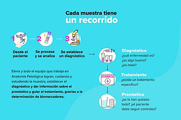 El viaje de la muestra refeja cómo es el proceso que se sigue desde su obtención El viaje de la muestra refeja cómo es el proceso que se sigue desde su obtención