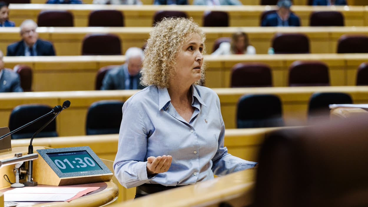 La senadora del PSOE María del Lirio Martín García durante una sesión plenaria, en el Senado. EP. La senadora del PSOE María del Lirio Martín García durante una sesión plenaria, en el Senado. EP.
