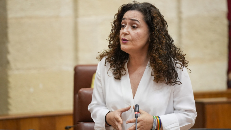 Portavoz Por Andalucía, Inma Nieto Portavoz Por Andalucía, Inma Nieto