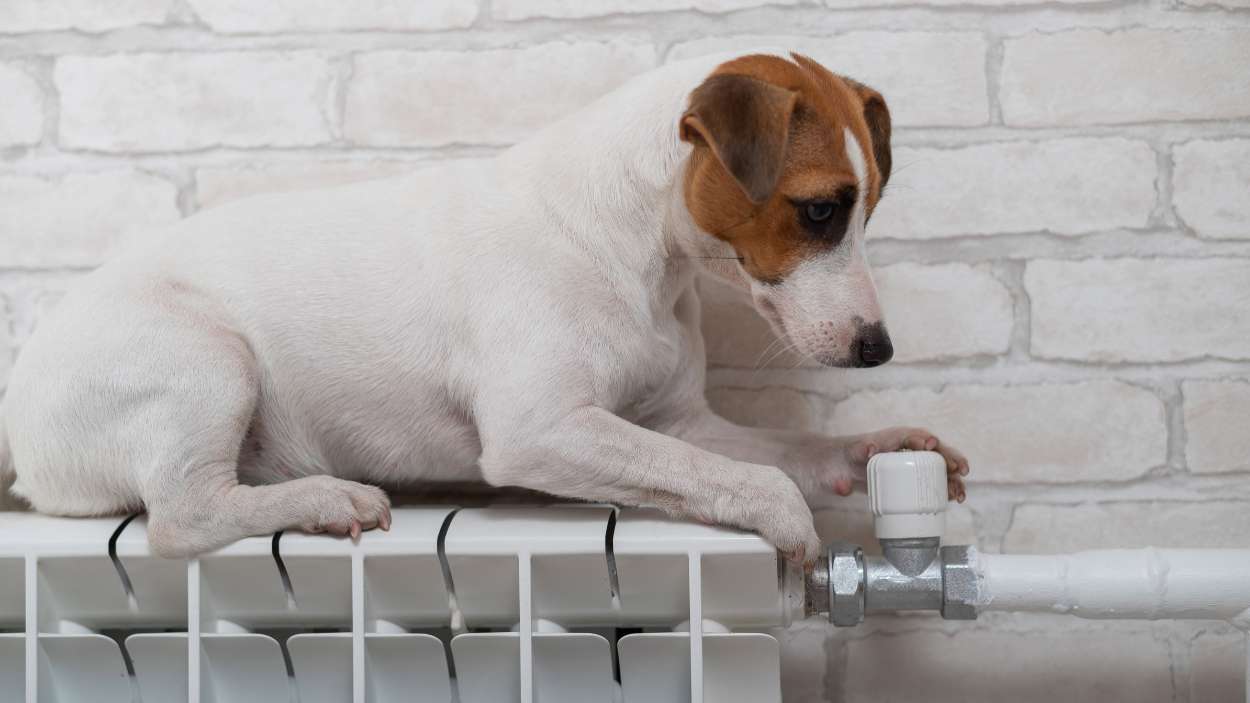 Adiós a la regla de los 19°C Esta es la temperatura ideal para el confort en tu casa y ahorrar