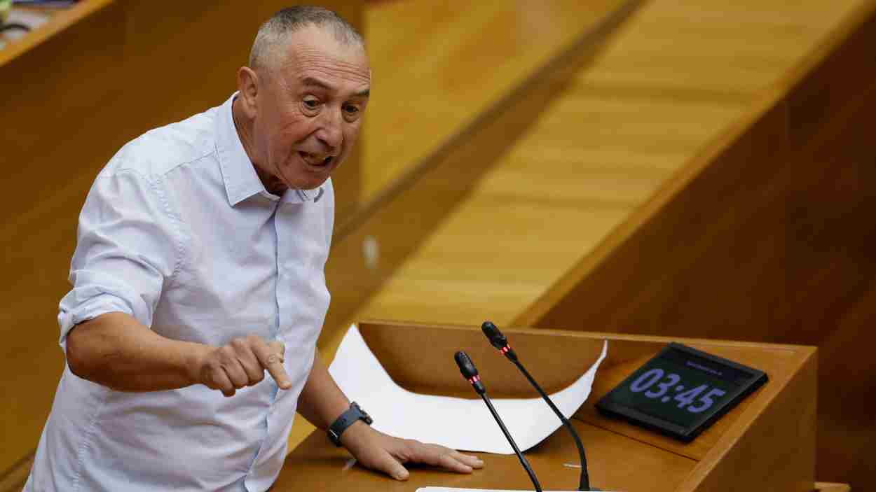 El diputado de Compromís, Joan Baldoví. Europa Press