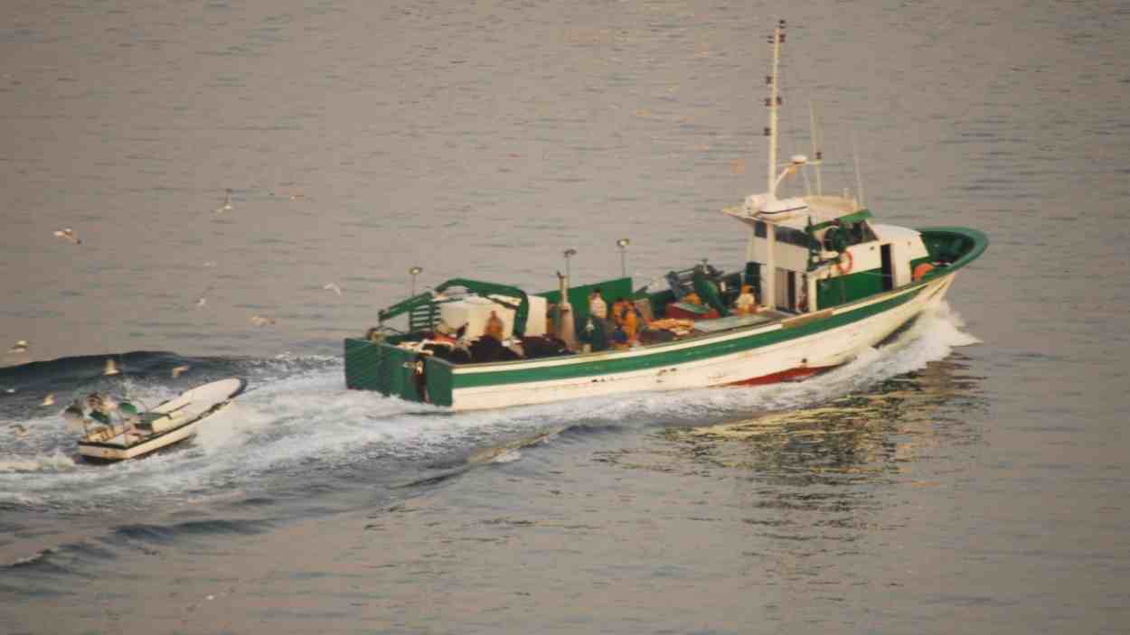 Foto de Oceana Juan Cuetos